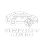 CIRCULACIÓN